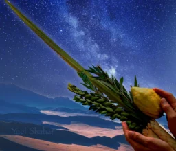 Lulav and Etrog