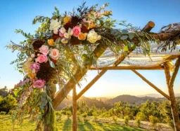 Wedding canopy in a sunny meadow
