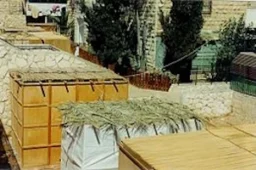 Sukkot