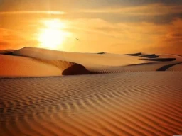 Desert with sun in horizon